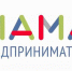 Магаданские мамы смогут бесплатно обучиться основам бизнеса в рамках проекта «Мама-предприниматель» - Администрация Магаданской области