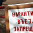 Информация об эпизоотической ситуации в Российской Федерации по состоянию на 1 декабря 2019 года - Министерство сельского хозяйства