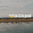 Началось голосование за Гран-при конкурса «Красиво.ДВ» - Kolyma.Ru