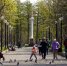 Городскому парку – 85! - Мэрия города Магадана