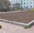 Создают красоту: в Магадане сотрудники КЗХ приступили к высадке цветов в уличные клумбы - Karibu.FM