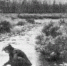 11 января 1941 года за перевыполнение плана добычи золота и олова в 1940 г. дальстроевцы получили государственные награды. - Kolyma.Ru