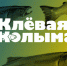 В Магаданской области из-за погодных условий перенесли фестиваль «Клёвая Колыма» - Kolyma.Ru