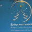 В Магаданской области полицейские поддержали акцию «Ёлка желаний». Фото: Источник - MagadanMedia.Ru