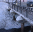 3460835.jpg?ead876e086c62cf528baa9ad316a6be4 - MagadanMedia.Ru