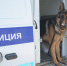 Полицейские Колымы информируют об изменениях в административном законодательстве - УМВД Магаданской области