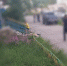 Колымская полиция и СК отрицают, что несколько часов не выезжали к трупу мужчины в Ягодном, который лежал у подъезда - Vesma.Today
