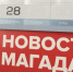23 июля в календаре: День дачника, Всемирный день китов и дельфинов - MagadanMedia.Ru