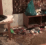 Гражданин Узбекистана заключен под стражу (Видео) - Kolyma.Ru