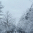 В Магадане 0, -4°C, обещают больше снега и туман - Газета Магаданская правда