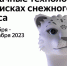 Облака и компьютерное зрение: дети научатся искать снежных барсов на «Уроке цифры» от Яндекса - Министерство образования