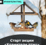 Как сделать правильную кормушку и помочь пернатым зимой: стартовала акция «Хранители птиц» - Инициатива Колымы