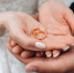 groom holds bride s hands where are two wedding rings - Газета Магаданская правда