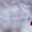 Погода ru.freepik.com - MagadanMedia.Ru