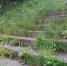 В Магадане +6, +9°C, дождливо - Газета Магаданская правда