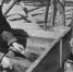 17 июля 1948 года в Магадане образован Всесоюзный научно-исследовательский институт золота и редких металлов - Kolyma.Ru