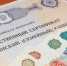 С начала 2024 года 140 колымских семей направили средства маткапитала на образование детей - Kolyma.Ru