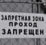 Мигранты в Артеме, чтобы избежать выдворения из России, напали на полицейских - Magadan.Sm.News