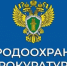 Природоохранная прокуратура потребовала вывезти производственные отходы, складированные в районе Марчеканского переулка - Мэрия города Магадана