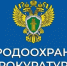 В Магадане вывезли производственные отходы в районе Марчеканского переулка - MagadanMedia.Ru