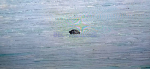 photo 2025 01 09 11 16 40