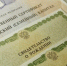500 колымских семей получили в 2024 году право на материнский капитал - Администрация Магаданской области