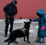 Росгвардейцы познакомили магаданскую школьницу с верной служебной овчаркой Салли - Газета Магаданская правда