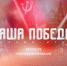 Колымчане могу принять участие в онлайн-игре «Наша Победа» - Kolyma.Ru