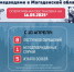 На Колыме за неделю медведи трижды подходили к населенным пунктам - MagadanMedia.Ru