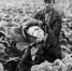 Опытную сельхозстанцию запустили в Магадане 3 июня 1954 года - MagadanMedia.Ru