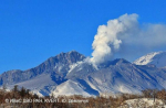 Вулкан Шивелуч на Камчатке выбросил пепел на высоту 6 километров