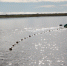 На Колыме продлили сроки любительского рыболовства на красную рыбу - Kolyma.Ru