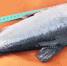fish 030725 - Газета Магаданская правда