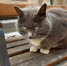 Что грозит тем, кто публикует видео атак дронов - MagadanMedia.Ru
