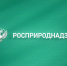 Сотрудники Управления выразили поддержку белоплечему орлану - Росприроднадзор