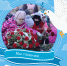 JPEG Файл - УМВД Магаданской области