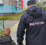 На Колыме продолжается проведение профилактического мероприятия «Внимание – дети!» - Kolyma.Ru