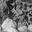 18 сентября 1933 года в Магадане открылась первая сельскохозяйственная выставка - Kolyma.Ru