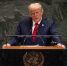 Несмотря на призыв Трампа, десятки палестинцев погибли в Газе - MagadanMedia.Ru