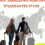 Программа повышения мобильности трудовых ресурсов - Министерство труда и социальной политики