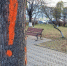 В Магадане -4, -8°C, ясная погода - Газета Магаданская правда
