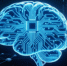 Ваш IQ выше 159, если ответите минимум на 8/10 — ТЕСТ - MagadanMedia.Ru
