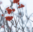 В Магадане -15, -17°C, малая облачность - Газета Магаданская правда
