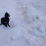 В Магадане -13, -16°C, малая облачность - Газета Магаданская правда
