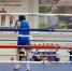 В поселке Палатка впервые проходит областной чемпионат и первенство по боксу на призы концерна «Арбат» - Магаданская областная Дума