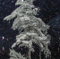 СИЛЬНЫЙ СНЕГ СОХРАНЯЕТСЯ В Г. МАГАДАНЕ, ХАСЫНСКОМ И ОЛЬСКОМ МУНИЦИПАЛЬНЫХ ОКРУГАХ - Пожарно-спасательный центр