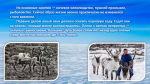 Эвены – народ оленный