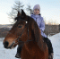 horse 190126 1 - Газета Магаданская правда