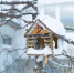 В Магадане -5, -7°C, переменная облачность - Газета Магаданская правда