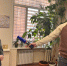 Переходим на русский: вся информация, которая доносится до потребителя, должна быть на государственном языке РФ - Мэрия города Магадана